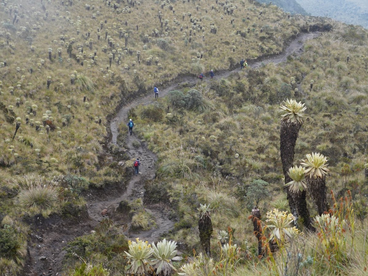 COLOMBIE : Découverte des volcans&nbsp;colombiens